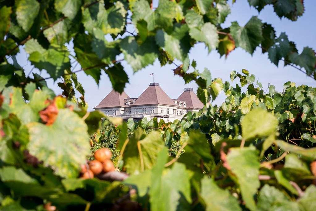 Chateau Elan Winery Braselton Eksteriør billede