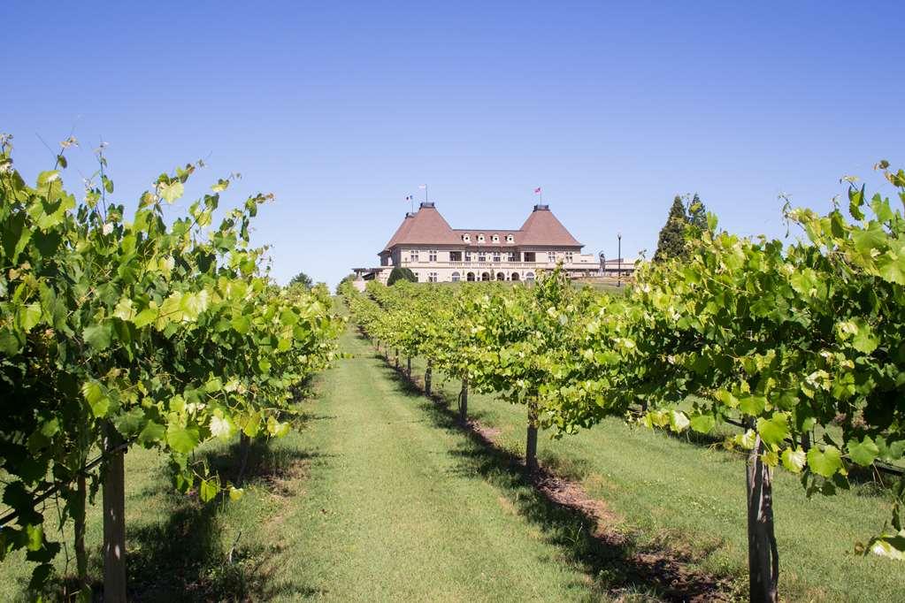 Chateau Elan Winery Braselton Eksteriør billede