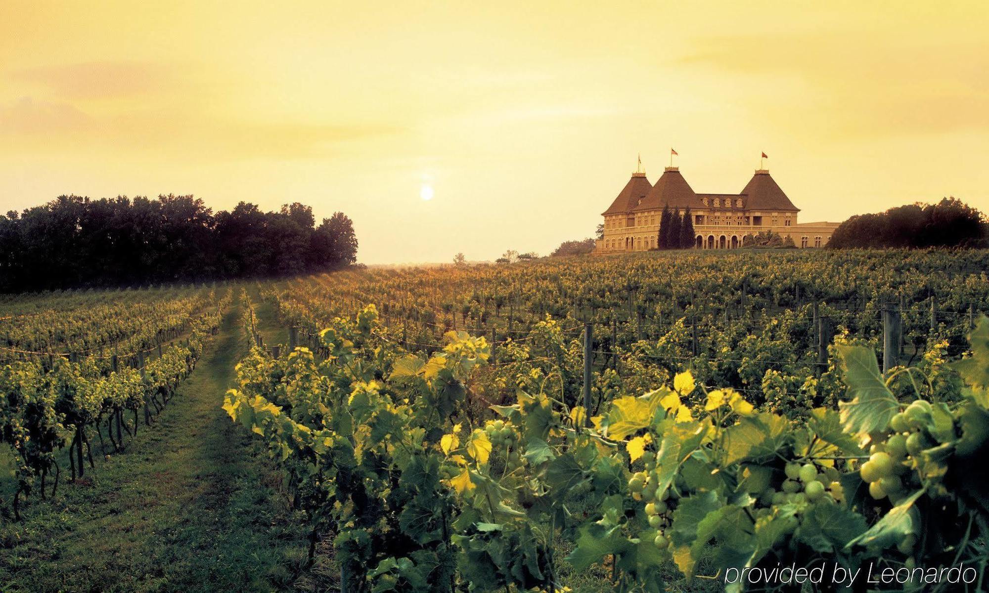 Chateau Elan Winery Braselton Eksteriør billede